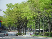 Tohoku University