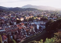 Freiburg Consortium Program