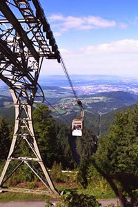 Freiburg Consortium Program