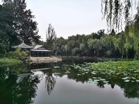 Tsinghua Summer School - Experiencing China