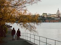 DIS-Stockholm