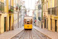 CIEE-Lisbon: Language and Culture