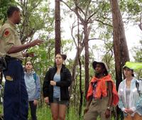 SFS-Australia: Rainforests of Australia