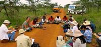 SFS-Kenya: Elephants of the African Savanna