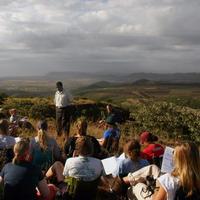 SFS-Kenya: Elephants of the African Savanna