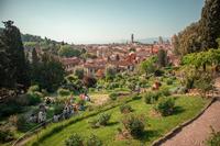 UMN-Florence: Art and Design