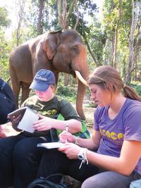 UMN: MSID - Human Rights in Thailand