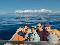 SFS-Croatia: 21st Century Marine Pollutants