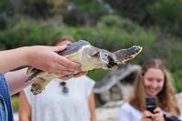 SFS-Croatia: 21st Century Marine Pollutants