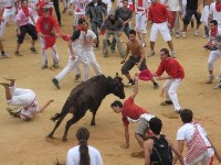 CIEE-Alicante: Liberal Arts