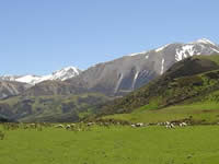 University of Canterbury