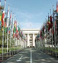 IES-European Union: Politics, Law and Economics