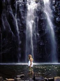 SFS-Australia & New Zealand: Rainforest Management