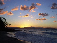 SFS-Australia: Rainforest to Reef