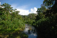 SFS-Costa Rica: Ecological Resilience Studies