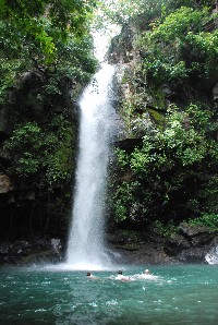 SFS-Costa Rica: Ecological Resilience Studies