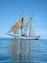SEA Semester-Colonization to Conservation in the Caribbean