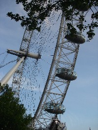 IES-London:  City, University of London