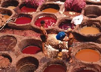 UMN-Morocco