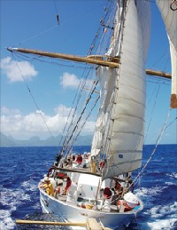 SEA Semester-Marine Biodiversity & Conservation